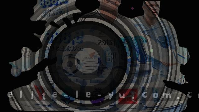 支持范围：培训、咨询、教练